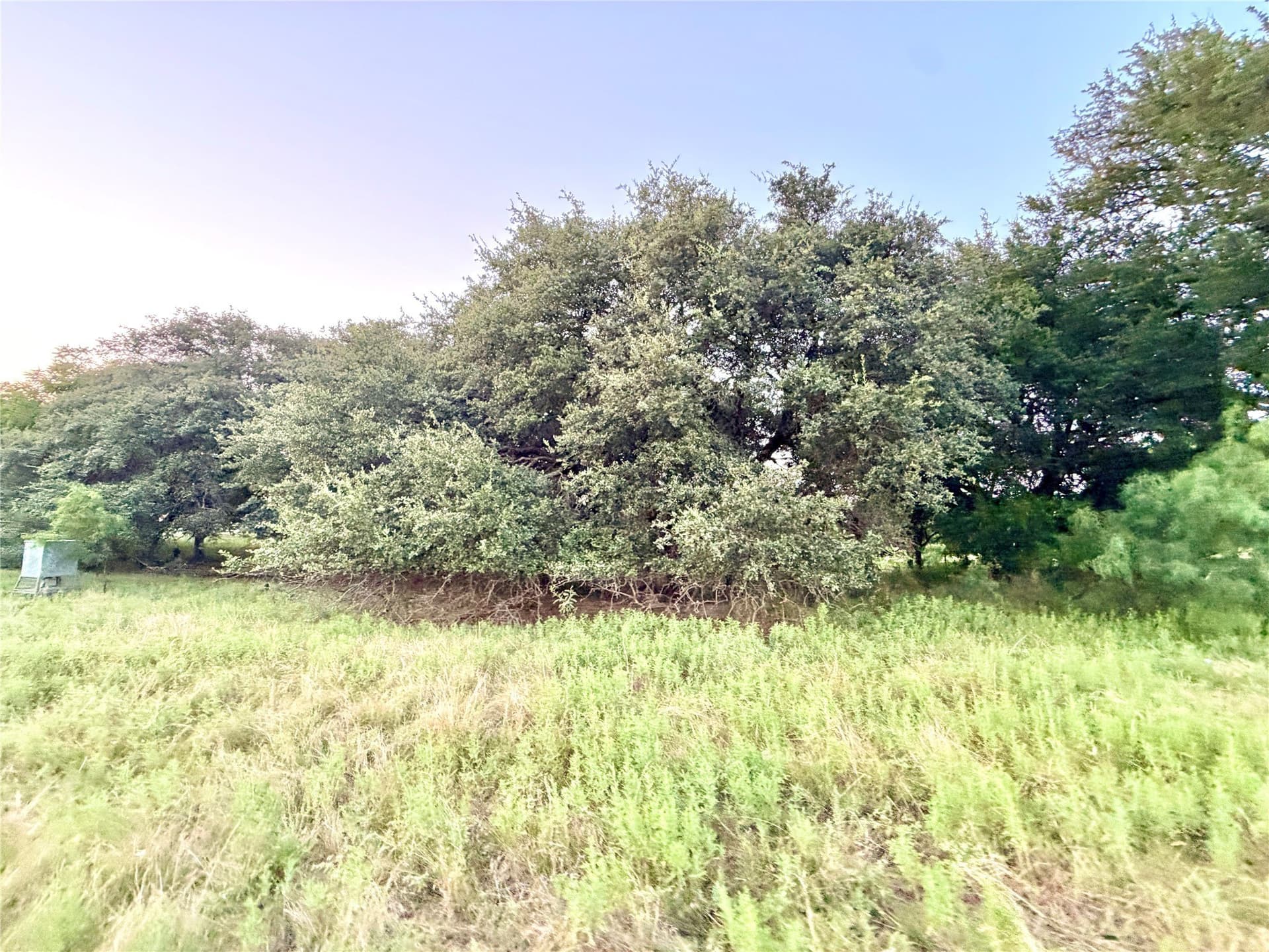 12.59 acres in Mills County - photo 17