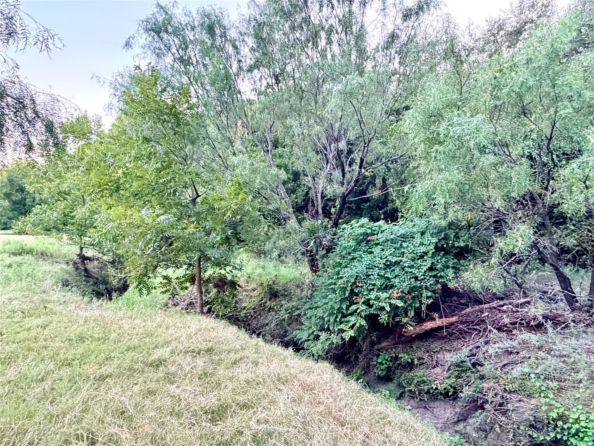 12.59 acres in Mills County - photo 19