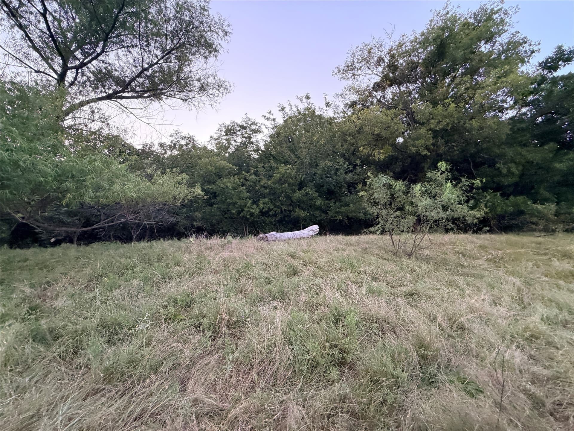 12.59 acres in Mills County - photo 29
