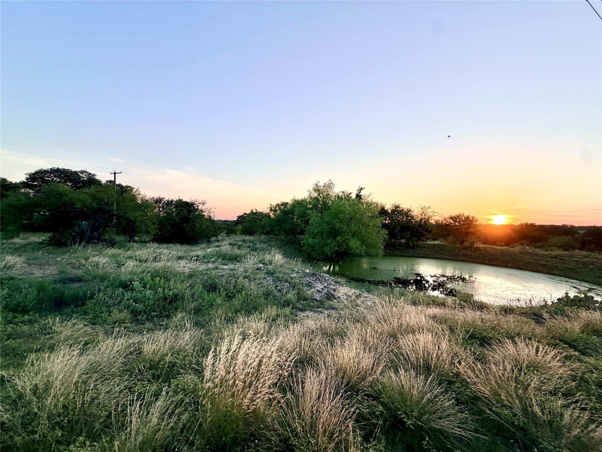 12.59 acres in Mills County