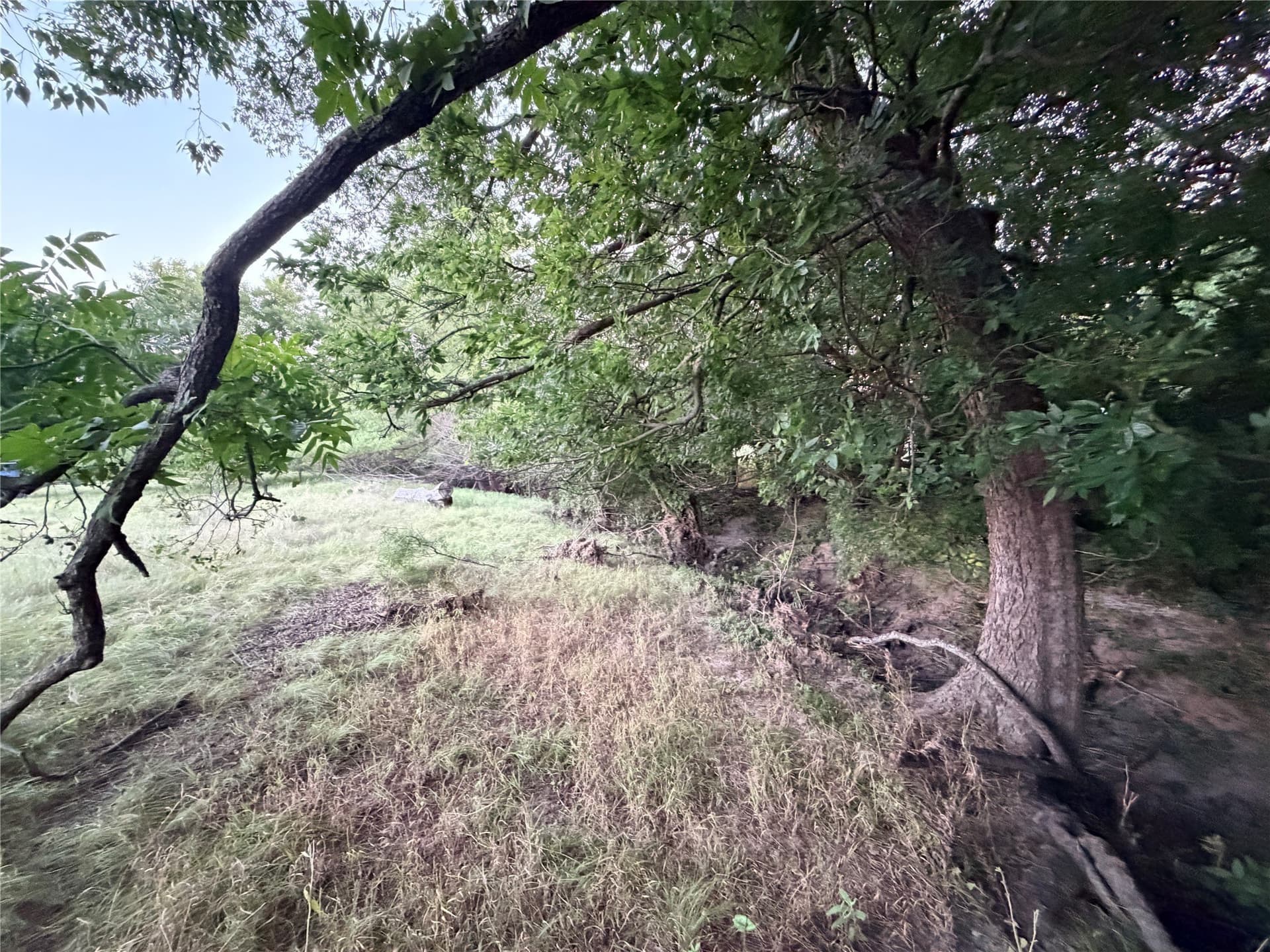 12.59 acres in Mills County - photo 25