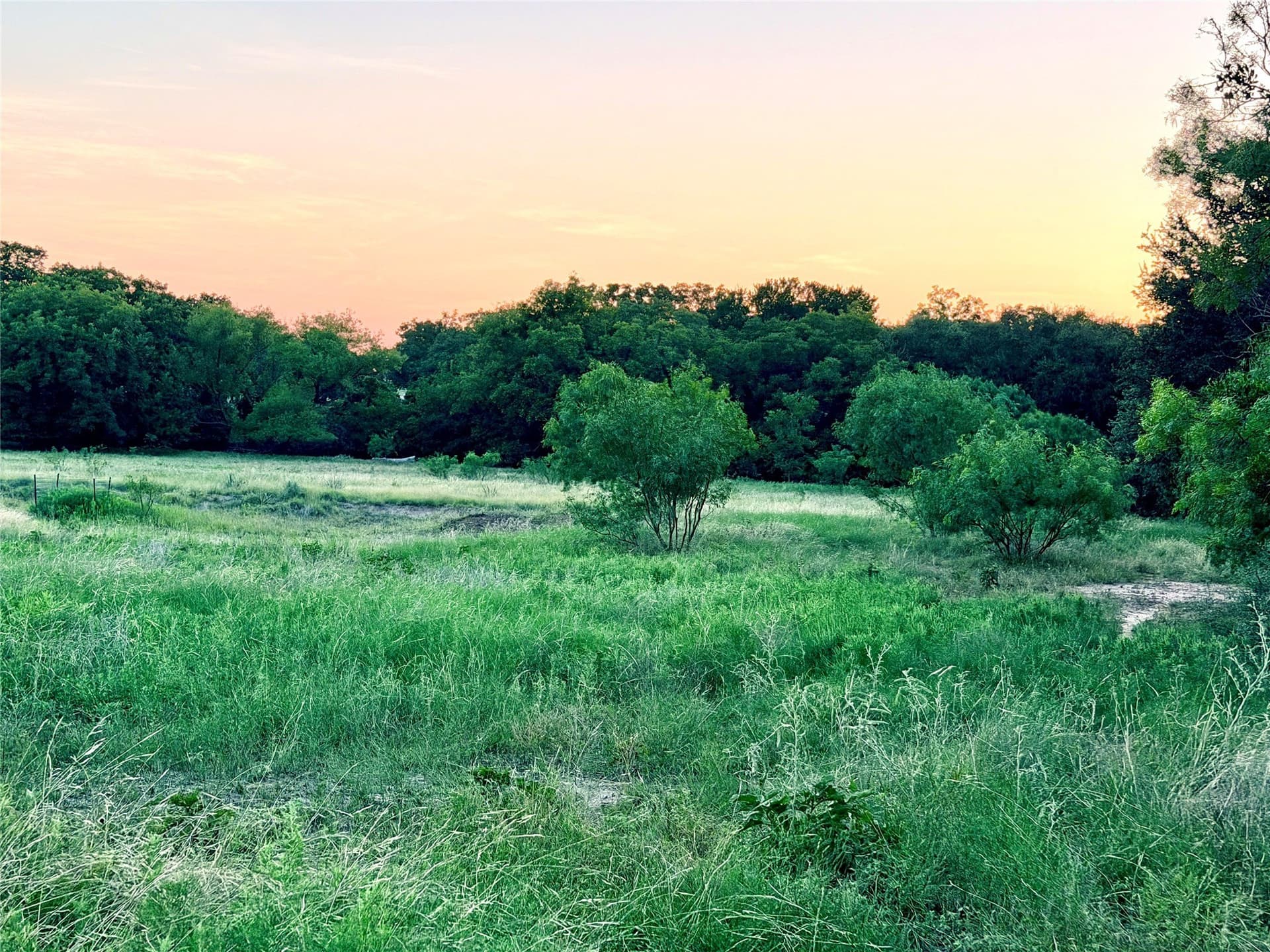 12.59 acres in Mills County - photo 13