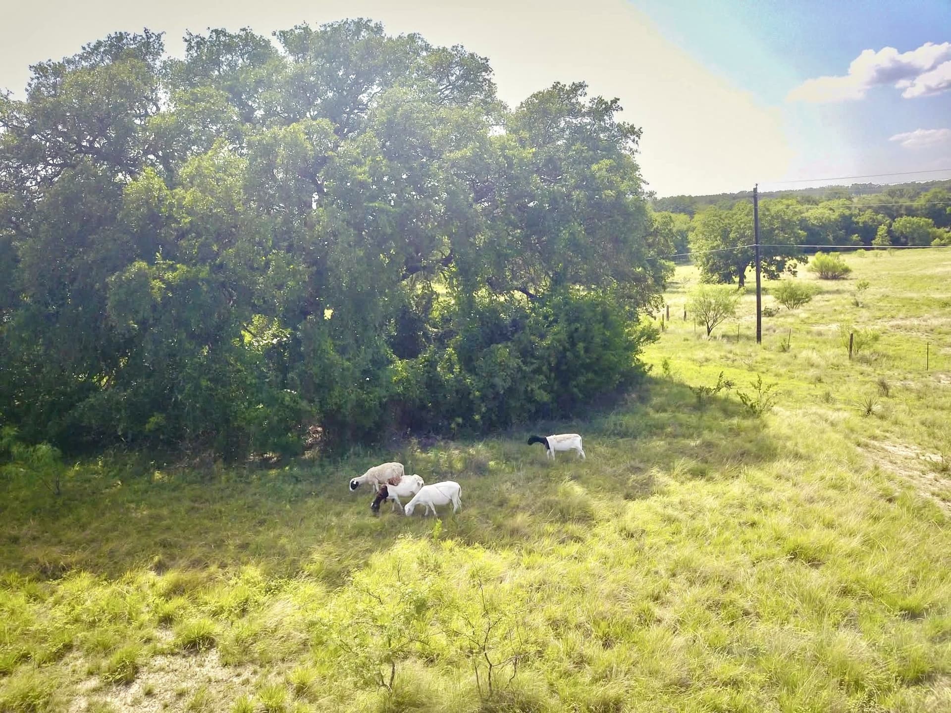 12.59 acres in Mills County - photo 7