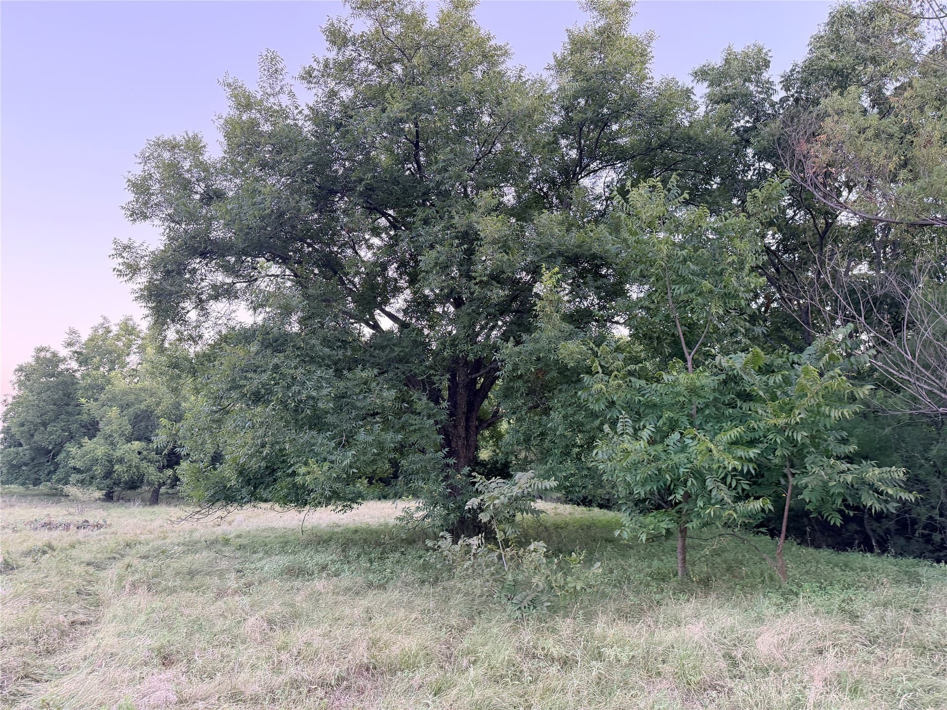 12.59 acres in Mills County - photo 26