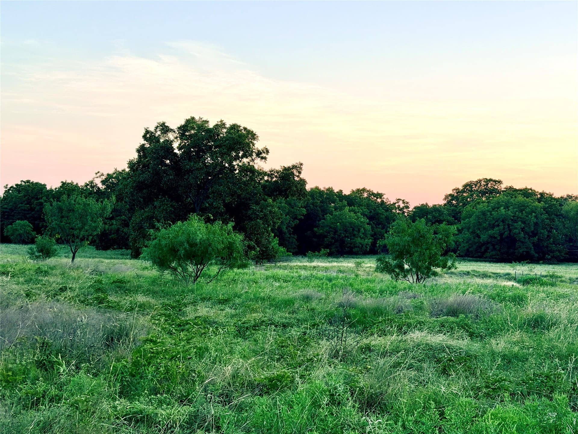 12.59 acres in Mills County - photo 2