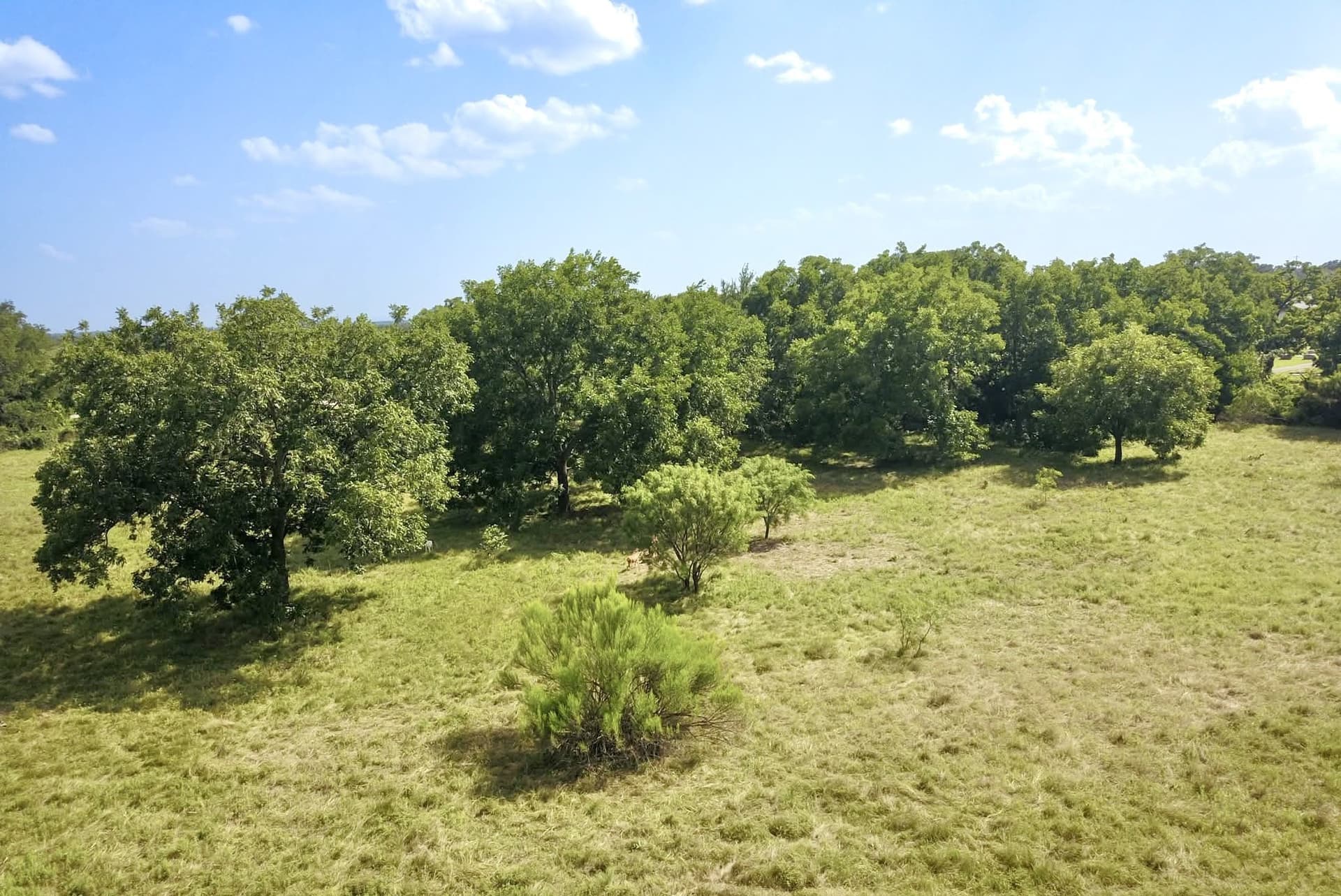 12.59 acres in Mills County - photo 6