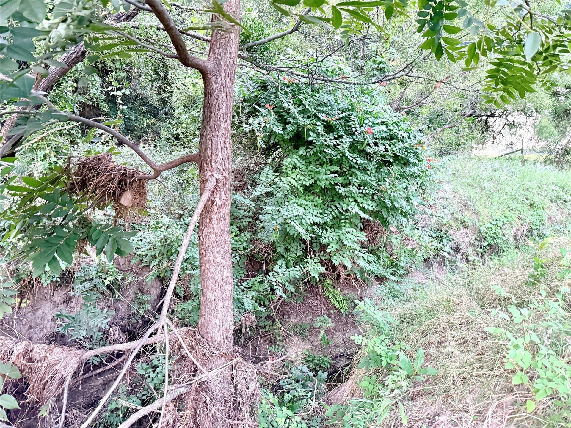 12.59 acres in Mills County - photo 22