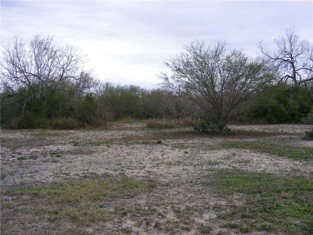 7.64 acres in San Patricio County gallery image 4