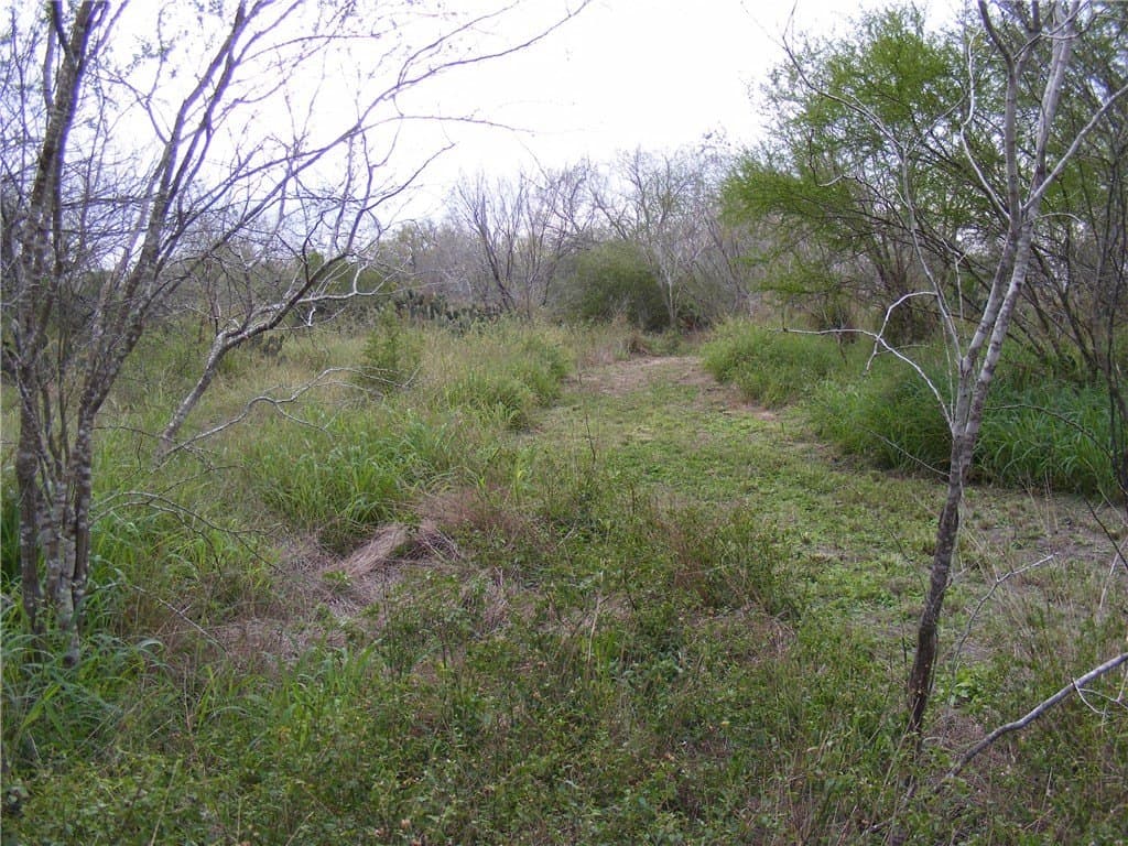 7.64 acres in San Patricio County - photo 7