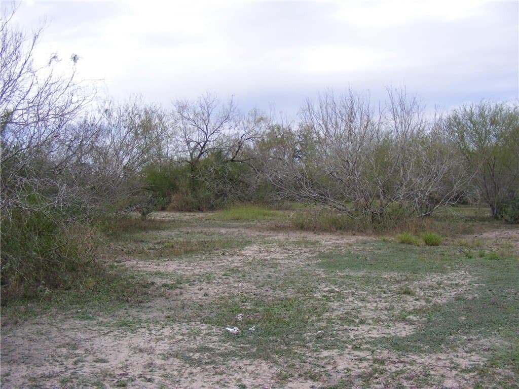 7.64 acres in San Patricio County - photo 6