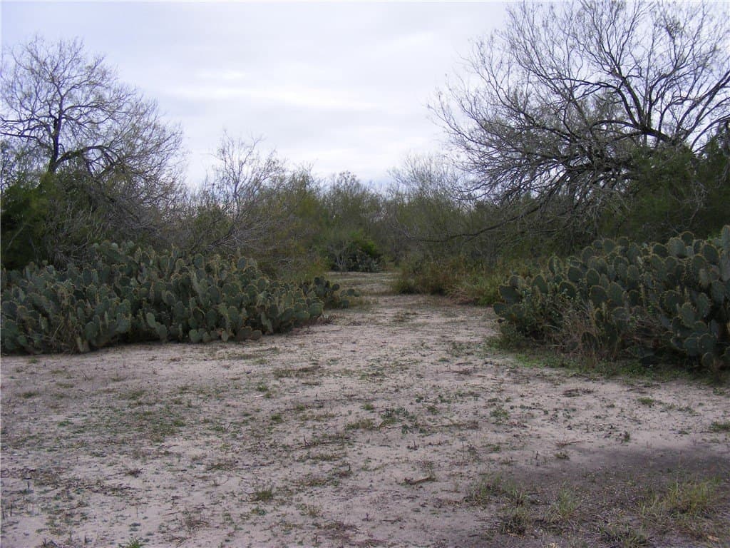 7.64 acres in San Patricio County gallery image 3