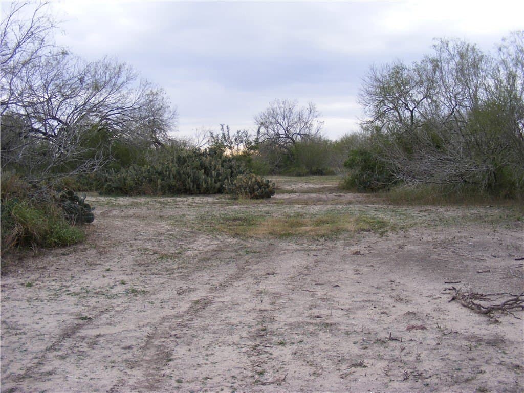 7.64 acres in San Patricio County gallery image 2
