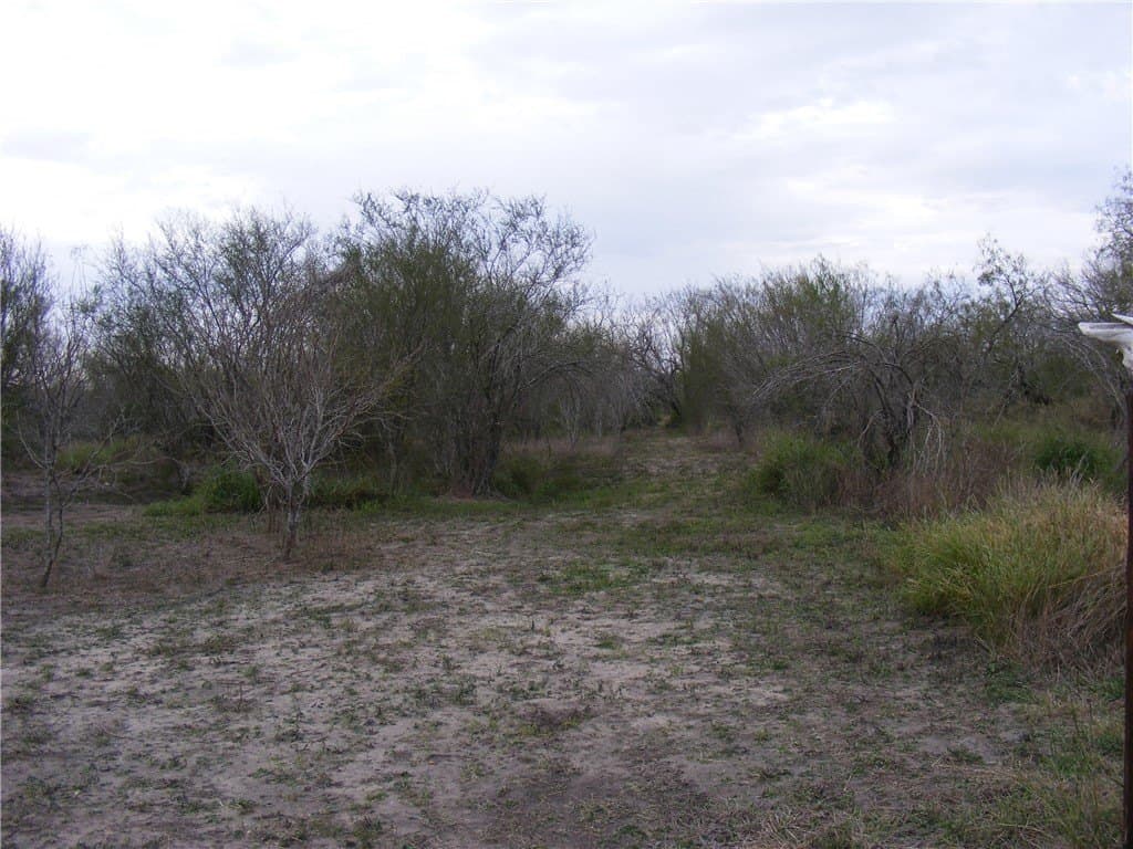 7.64 acres in San Patricio County featured view