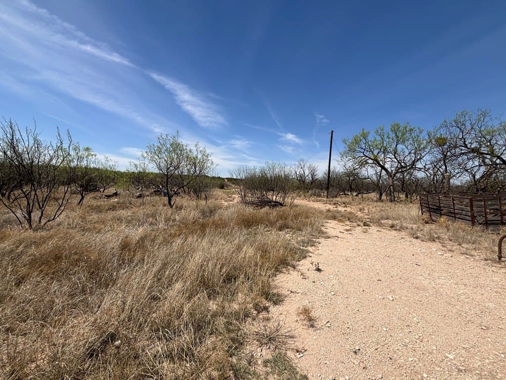 160 acres in Scurry County featured view