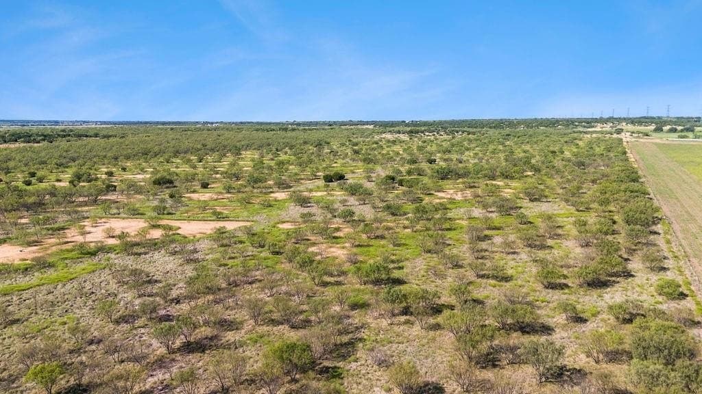 80.91 acres in Coleman County featured view