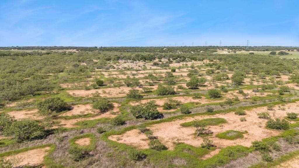 80.91 acres in Coleman County gallery image 4