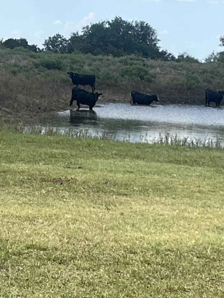 280 acres in Stephens County - photo 5