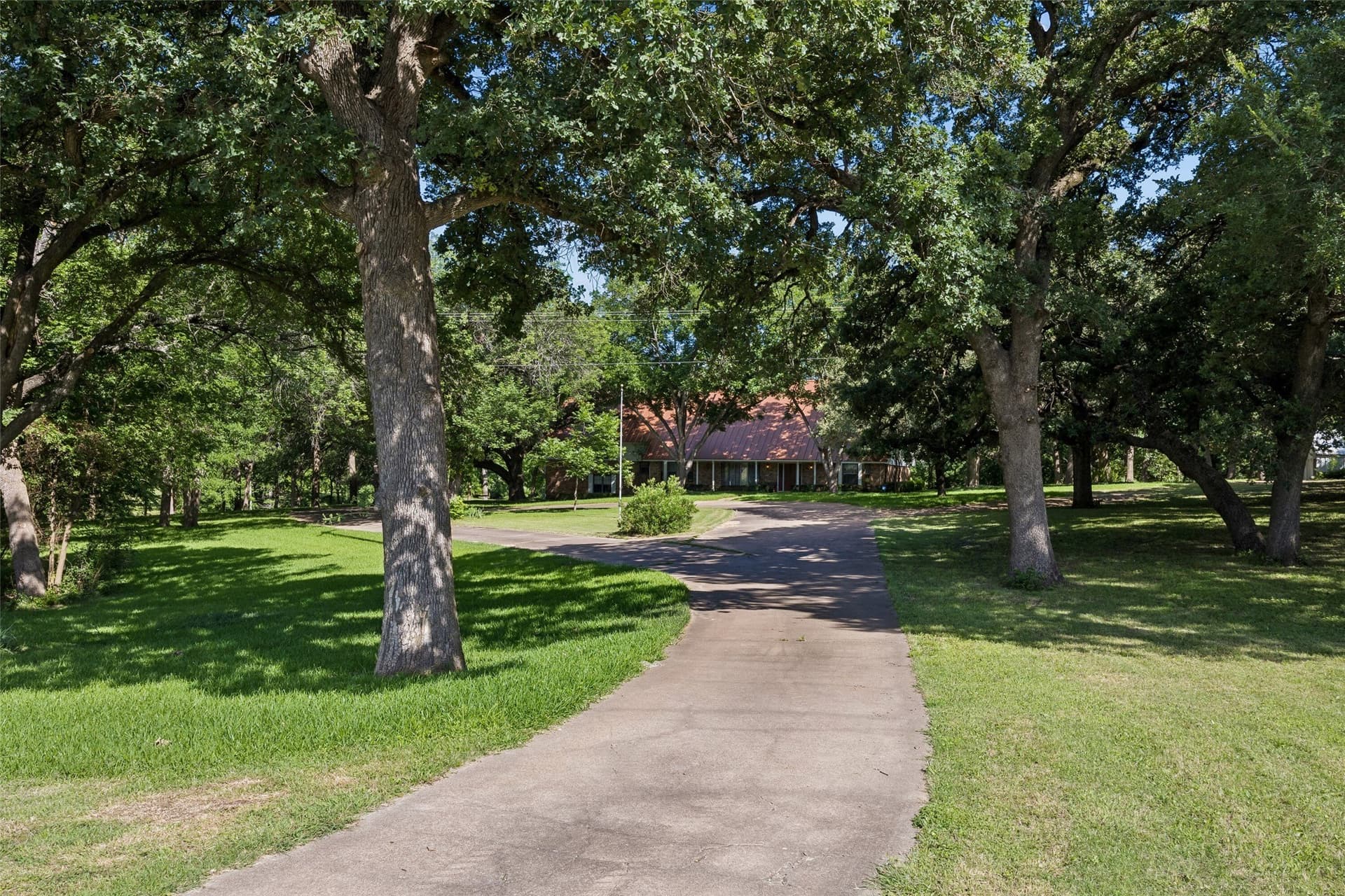 20 acres in Dallas County gallery image 2