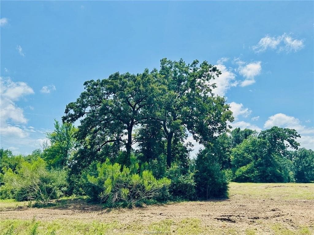 1.17 acres in Grimes County featured view