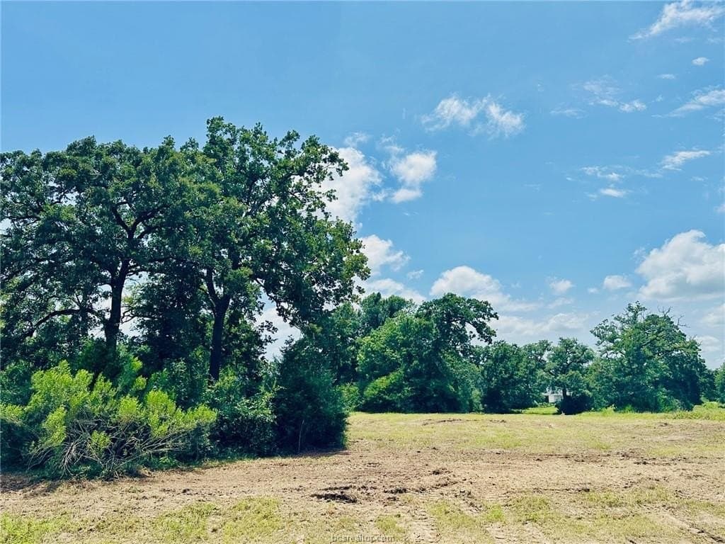 1.17 acres in Grimes County - photo 6