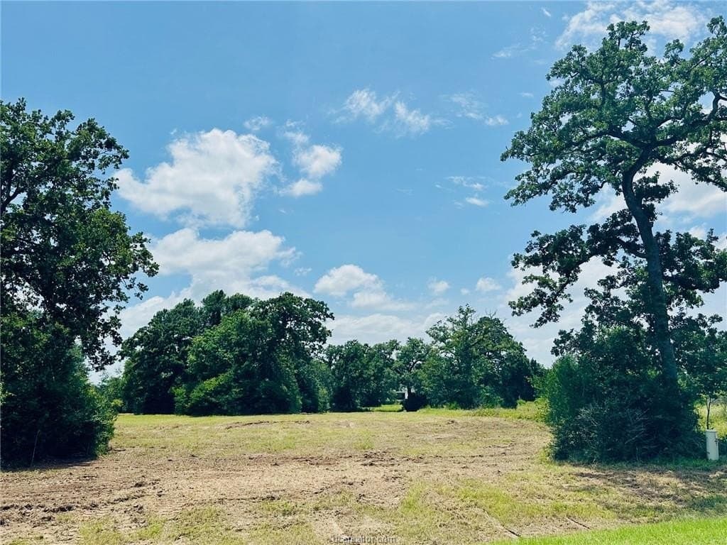 1.17 acres in Grimes County - photo 7