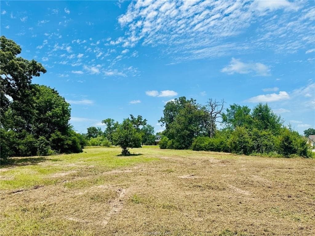 1.17 acres in Grimes County - photo 10