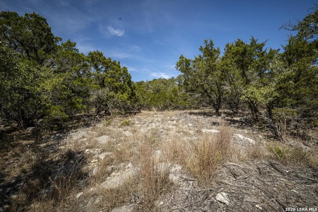 2.54 acres in Comal County - photo 39