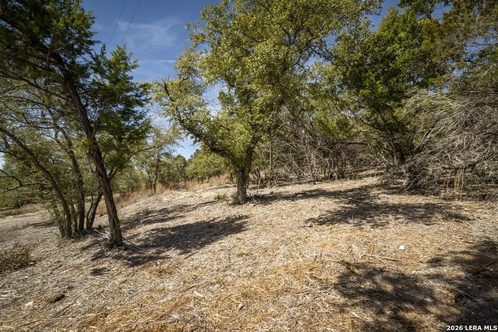 2.54 acres in Comal County - photo 34