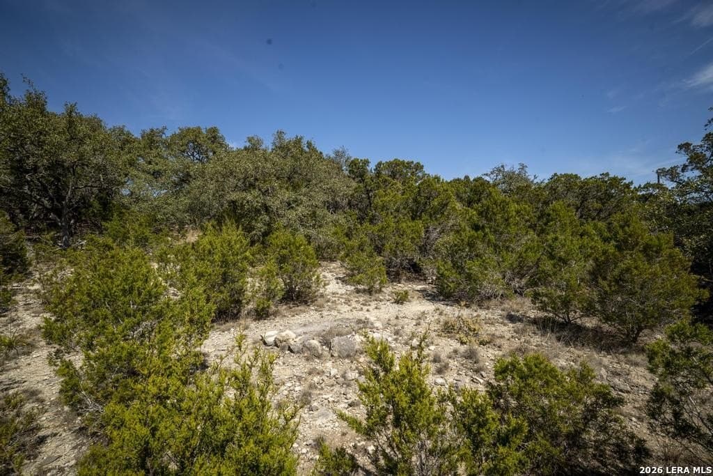 2.54 acres in Comal County - photo 41