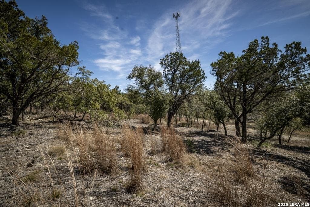 2.54 acres in Comal County - photo 45