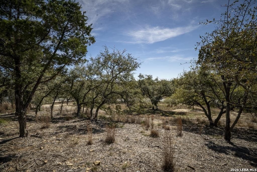 2.54 acres in Comal County - photo 46