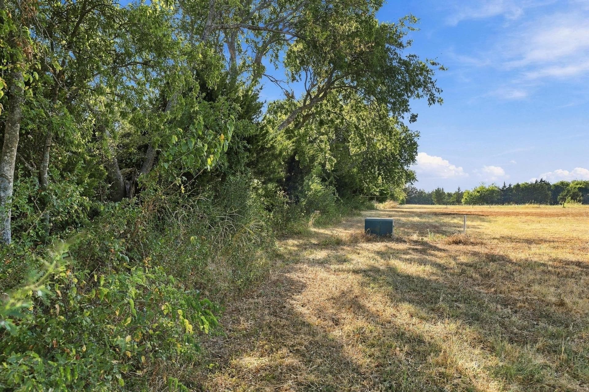 5 acres in Grayson County - photo 12