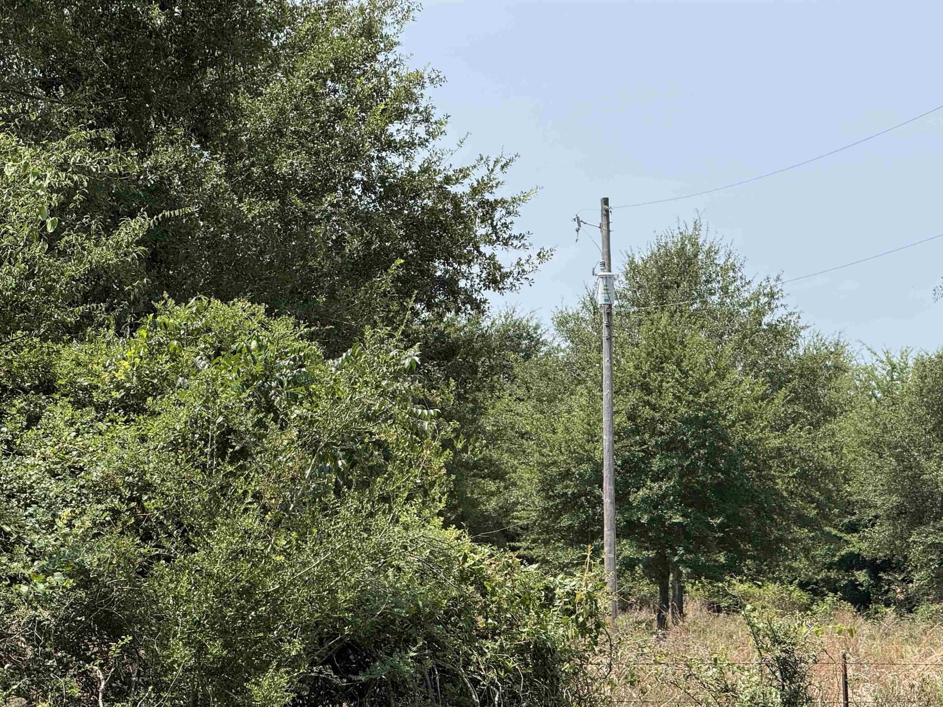 10.92 acres in Panola County featured view