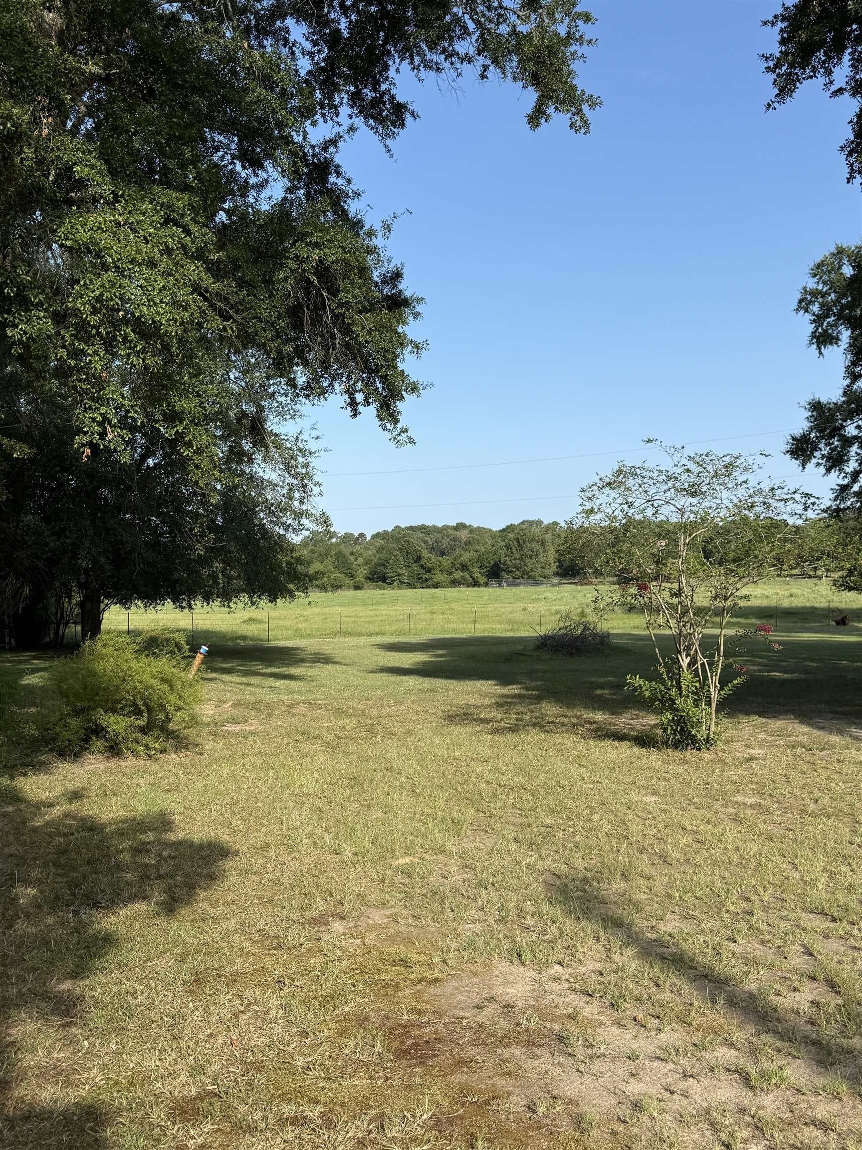 10.92 acres in Panola County - photo 6