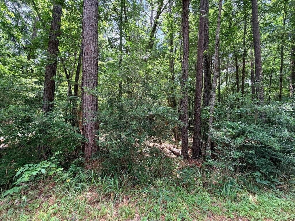 70.79 acres in Texas County - photo 12