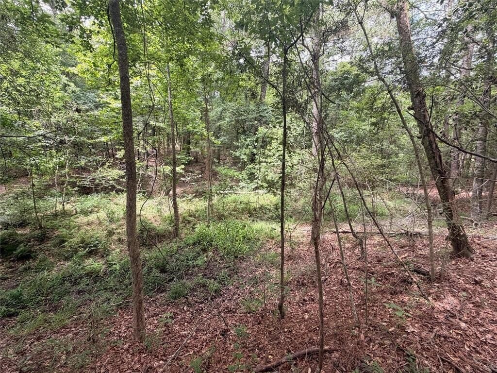 70.79 acres in Texas County - photo 6