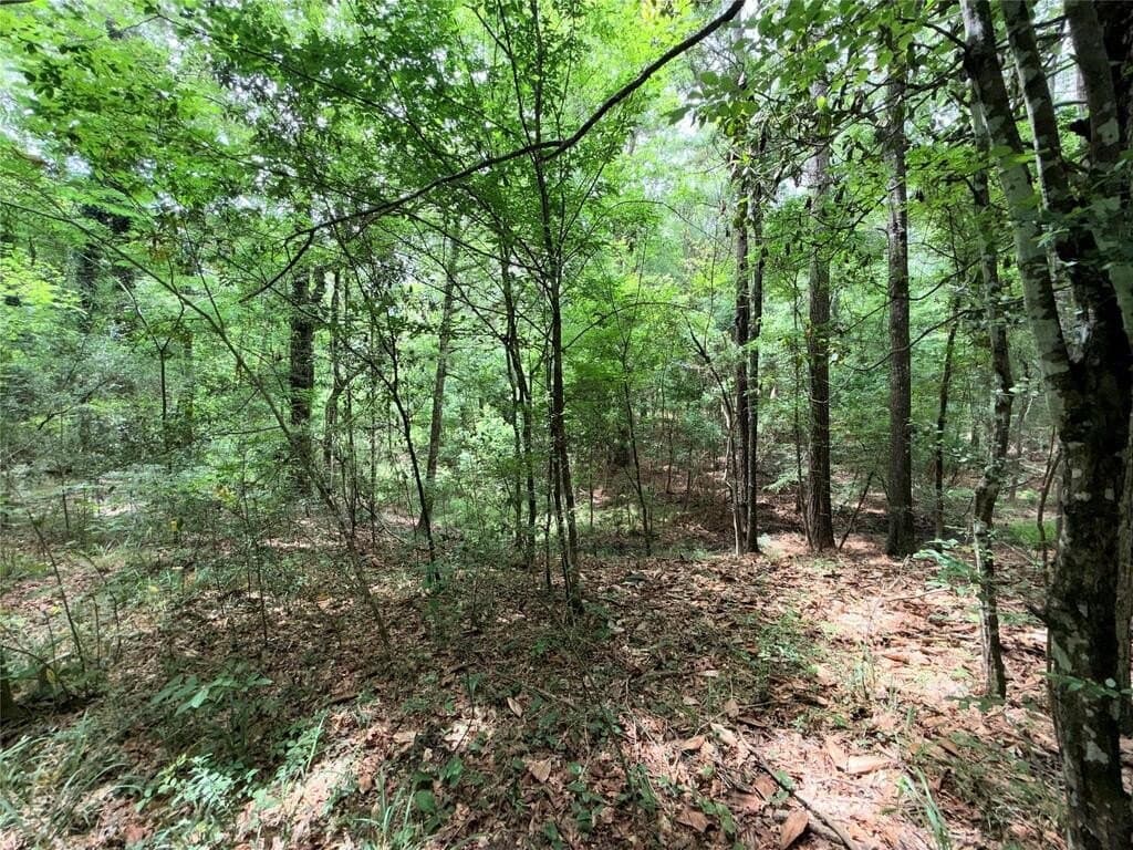70.79 acres in Texas County - photo 40