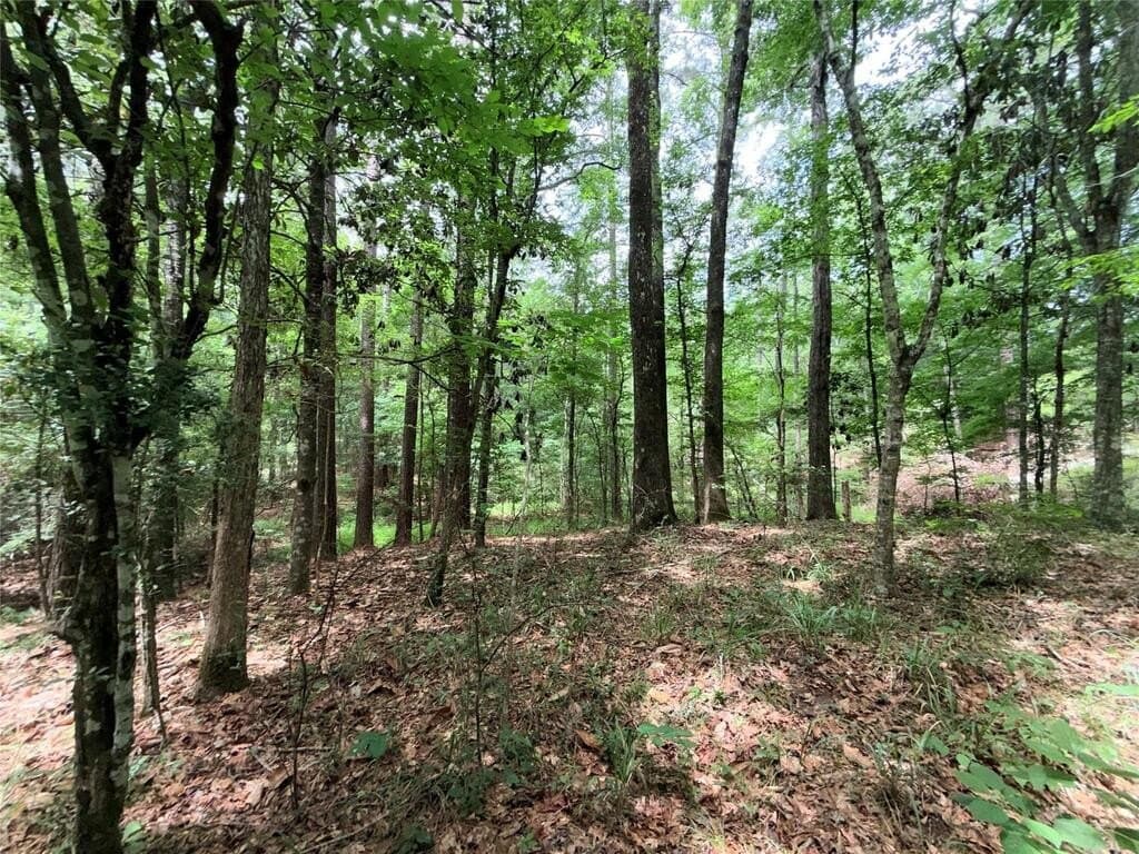 70.79 acres in Texas County - photo 39