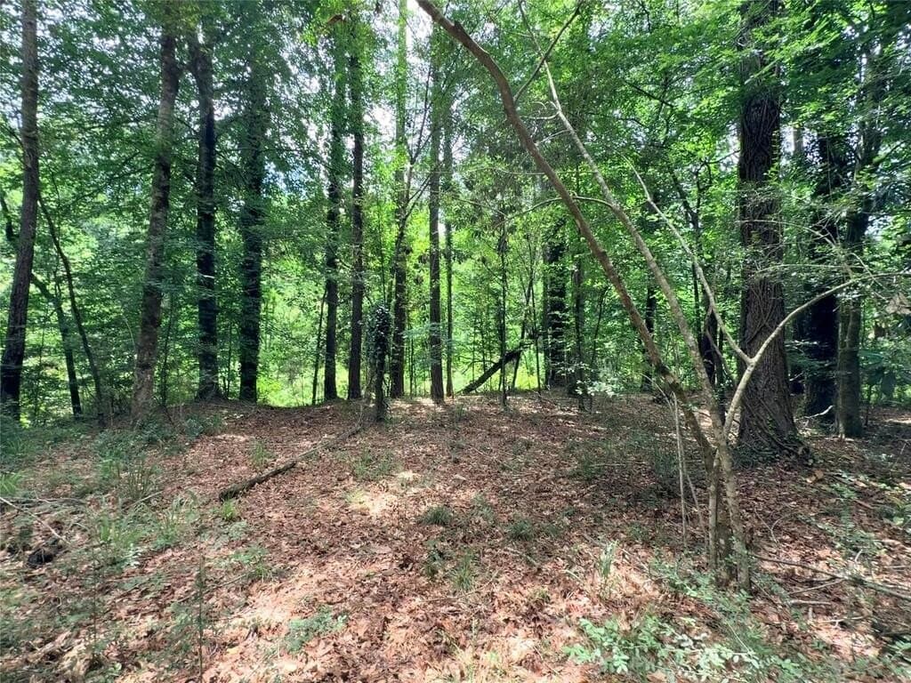 70.79 acres in Texas County - photo 45