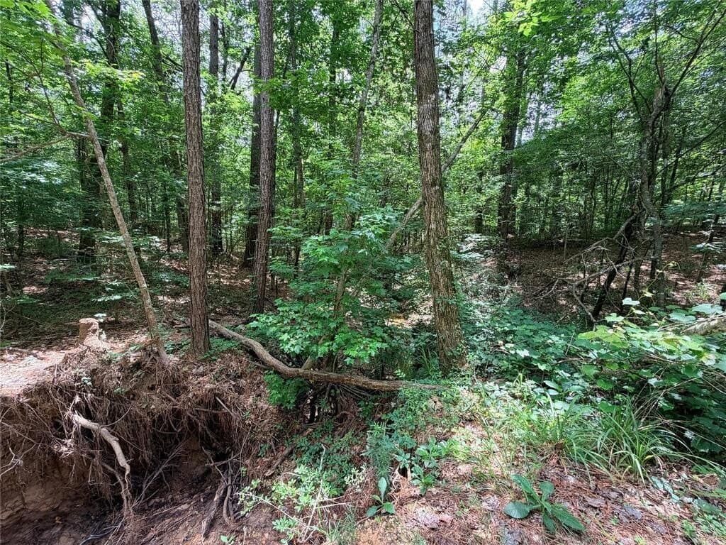 70.79 acres in Texas County - photo 24