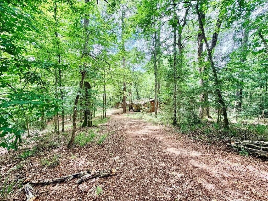 70.79 acres in Texas County - photo 2