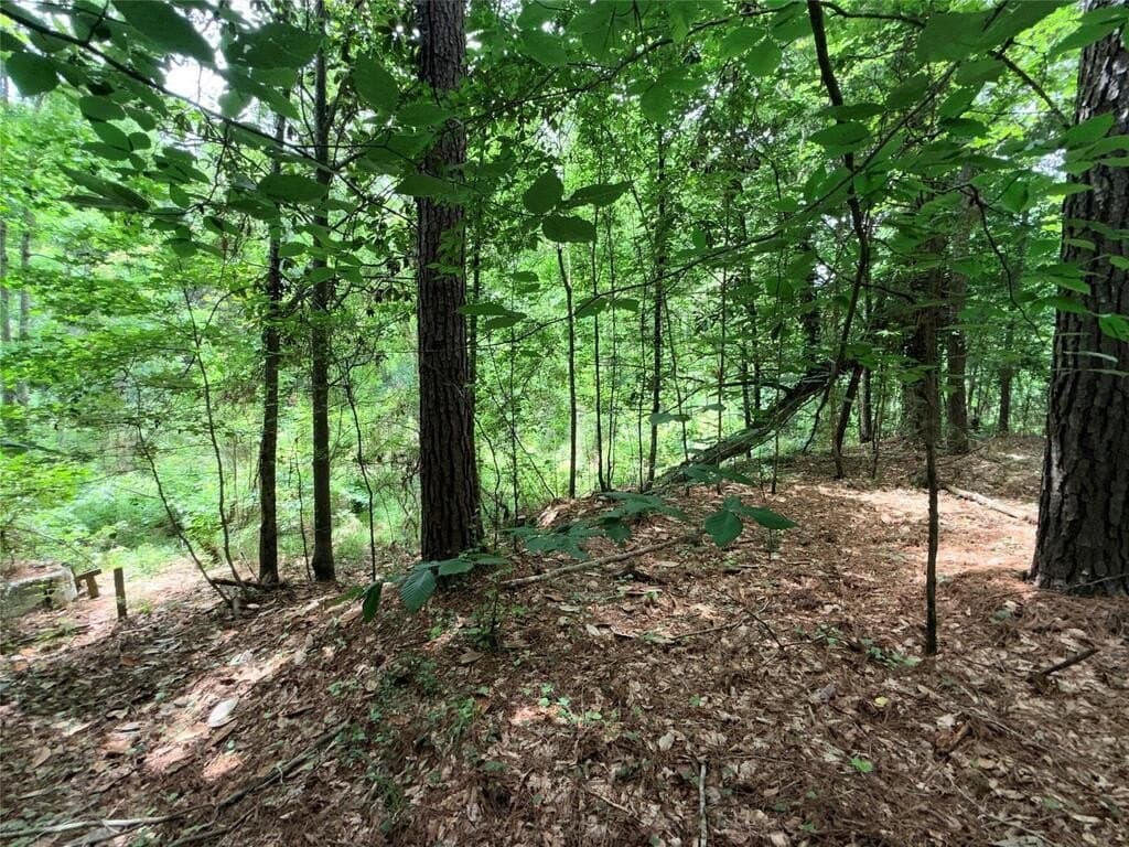 70.79 acres in Texas County - photo 47