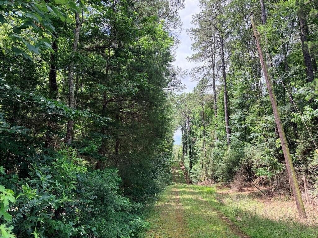 70.79 acres in Texas County - photo 15