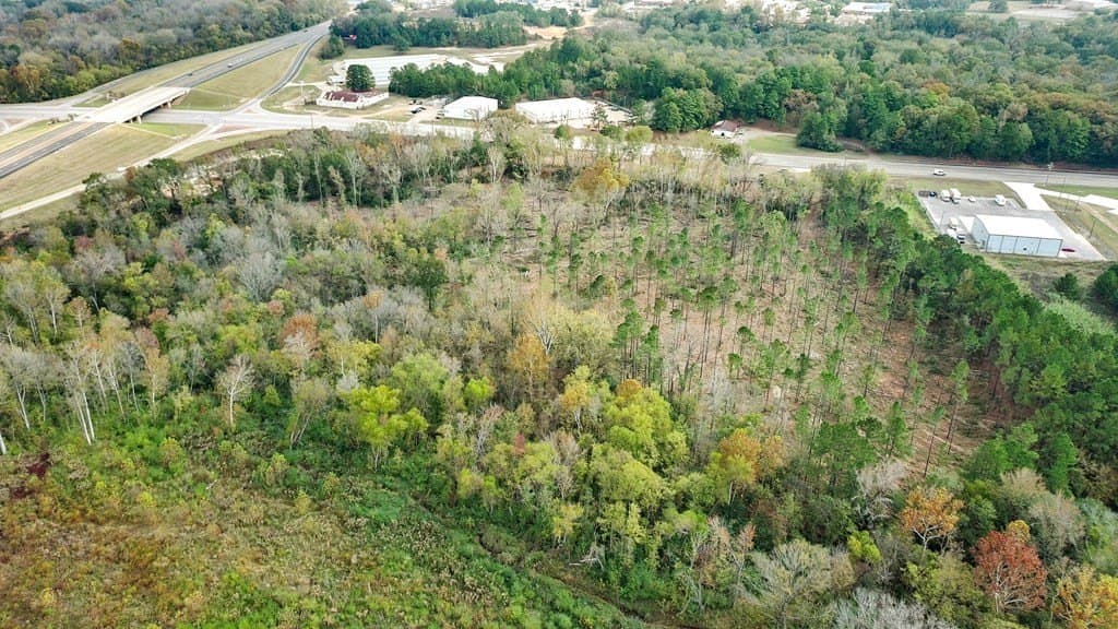 20.69 acres in ANDERSON County - photo 10