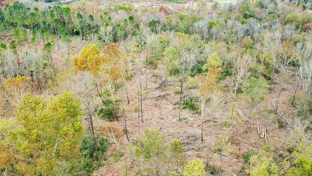 20.69 acres in ANDERSON County - photo 15