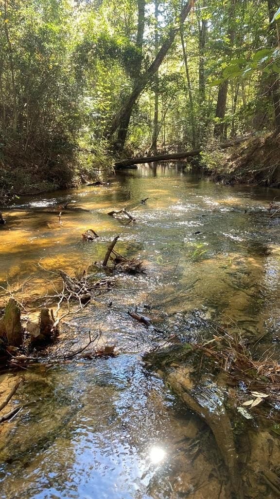 14.28 acres in Texas County gallery image 3