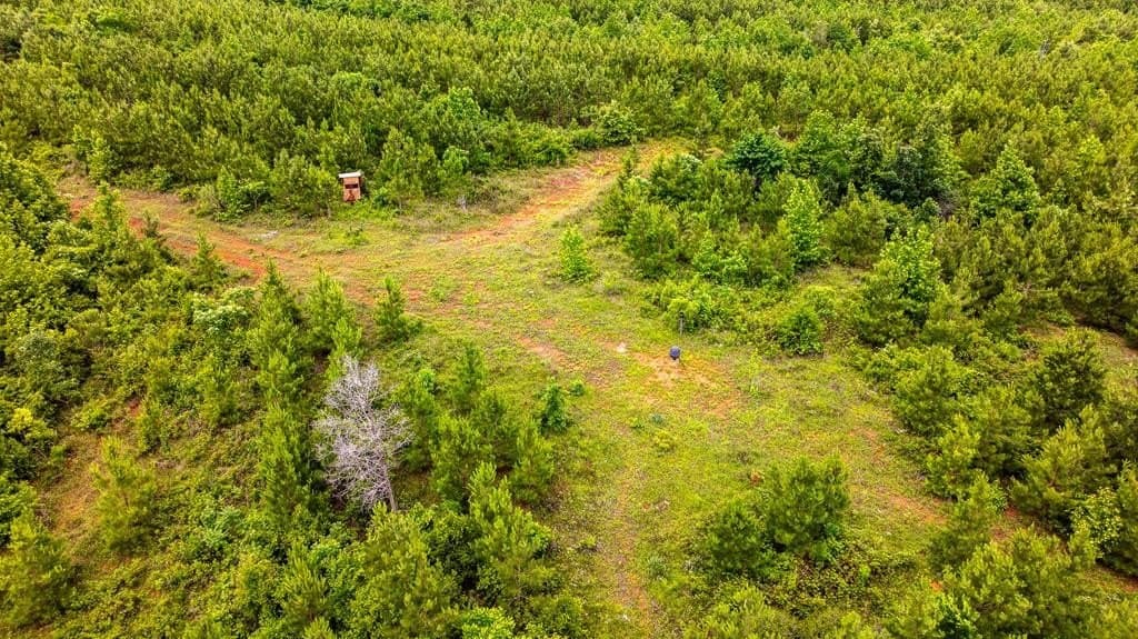 185.13 acres in ANDERSON County - photo 18