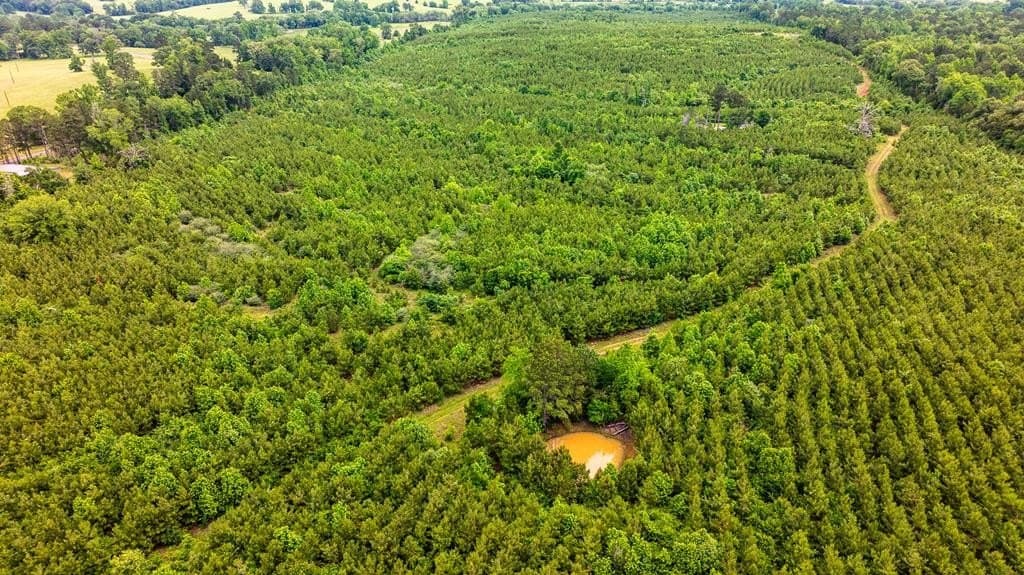 185.13 acres in ANDERSON County - photo 8