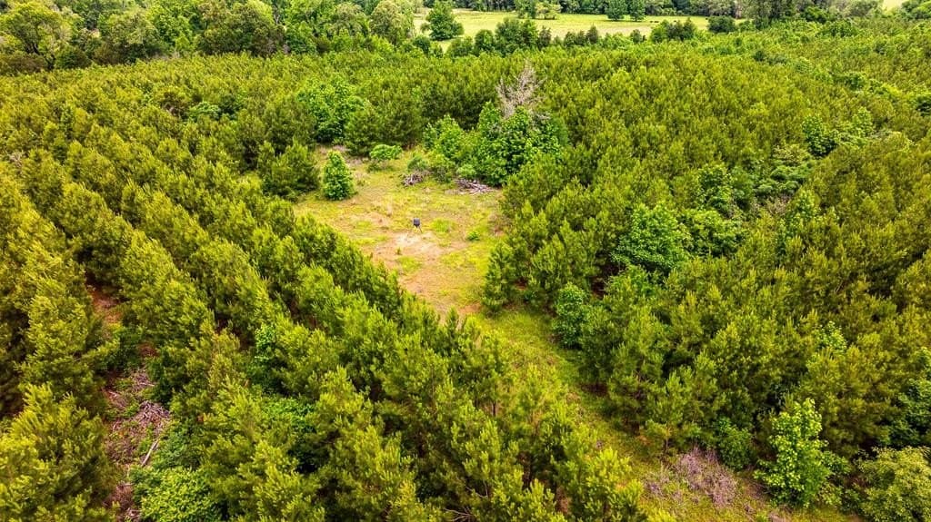 185.13 acres in ANDERSON County - photo 22