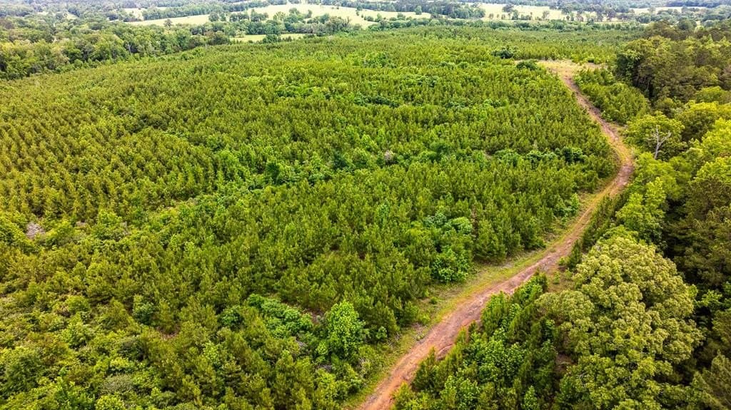 185.13 acres in ANDERSON County - photo 14